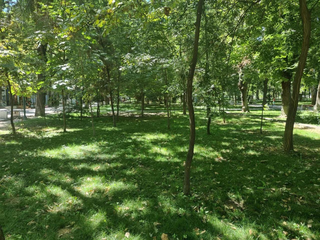 City Center Apartment 1 طشقند المظهر الخارجي الصورة
